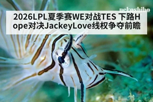 2026LPL夏季赛WE对战TES 下路Hope对决JackeyLove线权争夺前瞻 - kaiyun