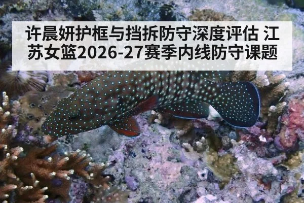 许晨妍护框与挡拆防守深度评估 江苏女篮2026-27赛季内线防守课题 - kaiyun
